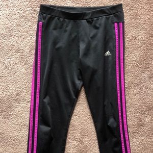 Adidas climber cool leggings with purple stripes